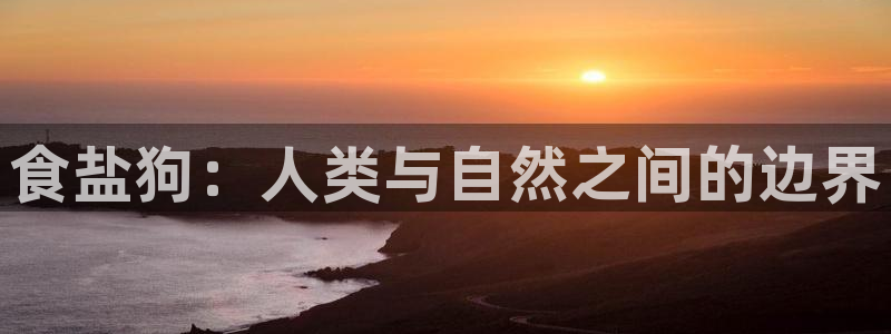 威九国际取款
