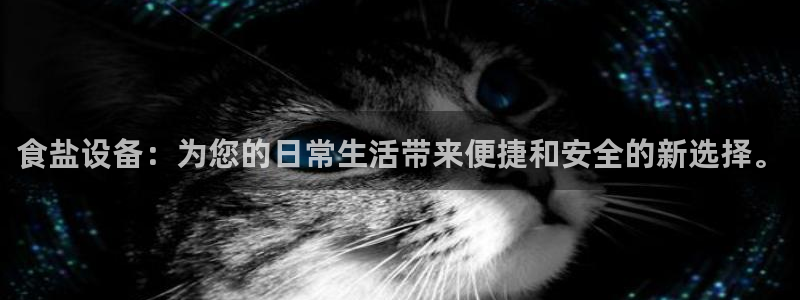 威九国际精选