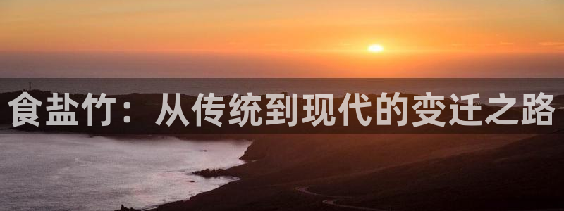威九国际ppt免费下载网址