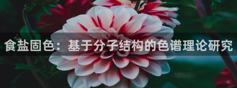 威九国际留学