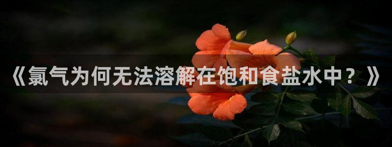 威九国际空降服务女演员叫什么名字