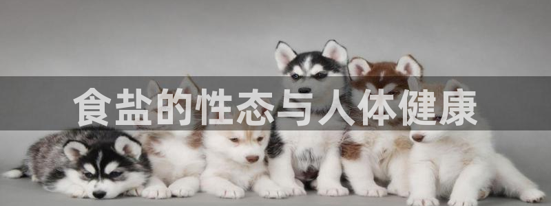 威九国际集团66m一6在线