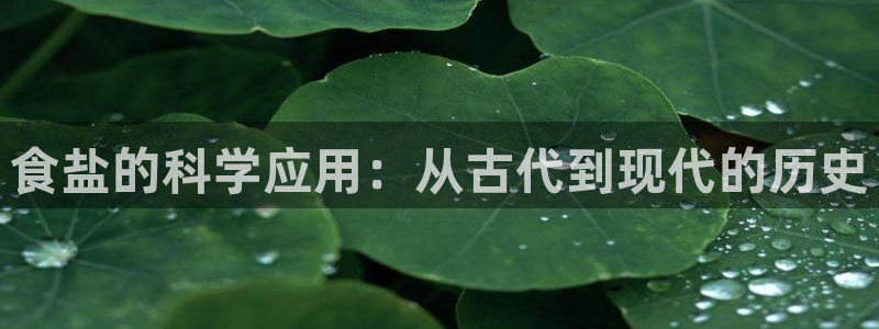 威九国际演员名单