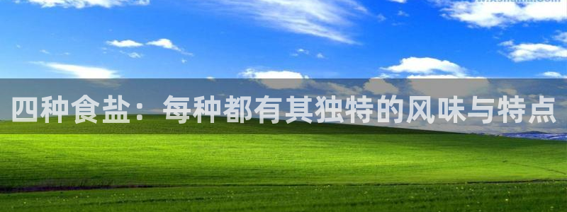 威九国际娜娜