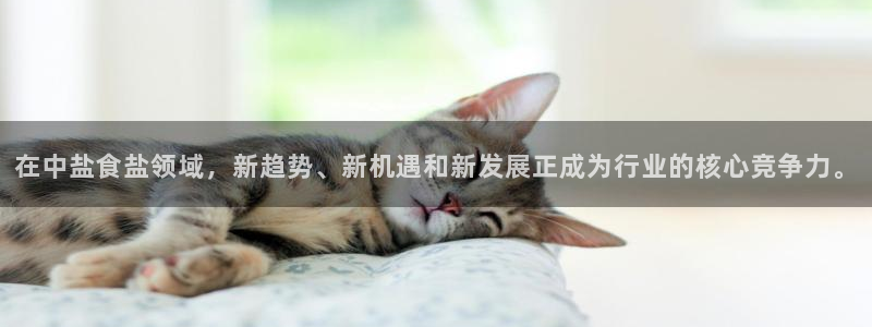 威九国际的金融服务怎么样