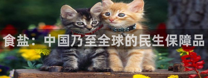 威九国际网站在哪里