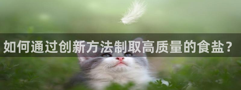 威九国际如何下载