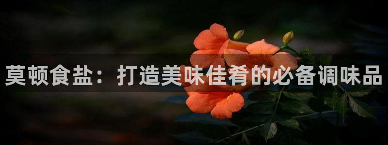 威九国际网站链接