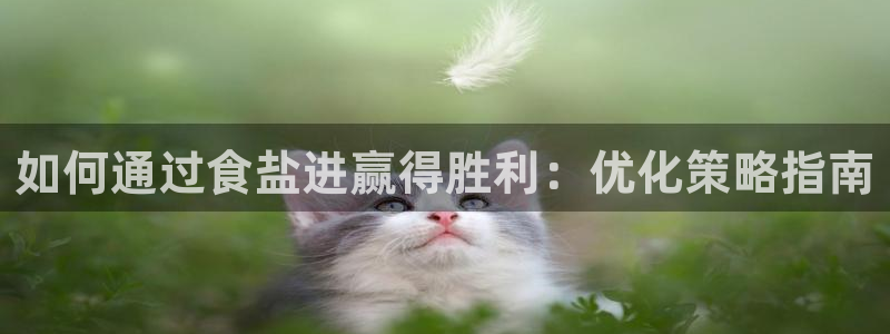 威九国际集团66m一6在线