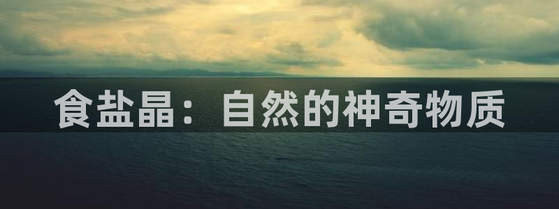 威九国际女演员名单介绍