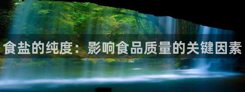 威九国际精忐