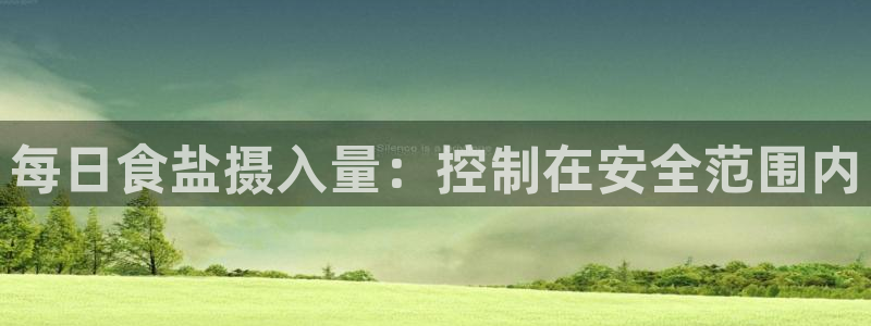 威九国际X8