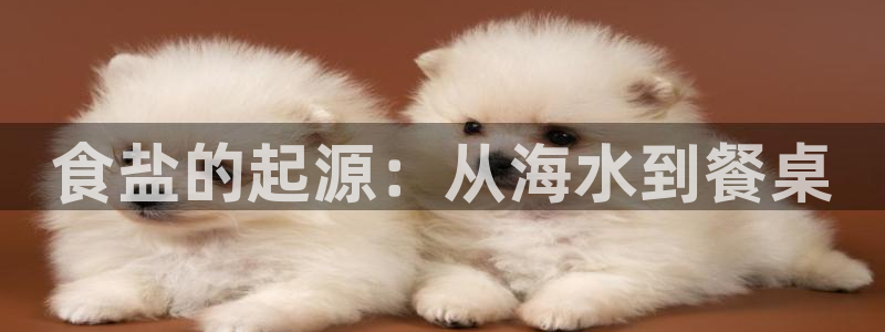 威九国际66m官网版