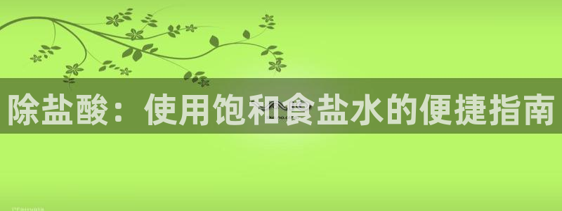 威九国际空降服务女演员名字