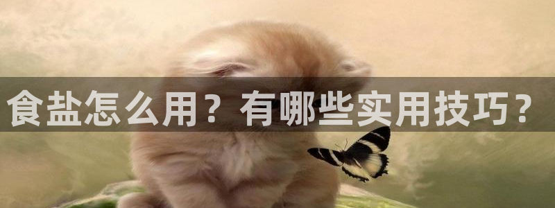 威九国际66m入口