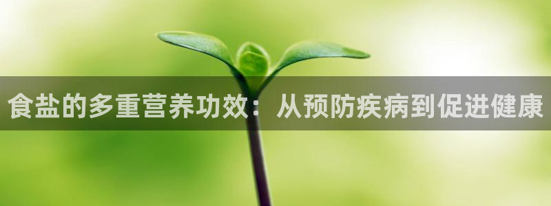 威九国际app网站官网