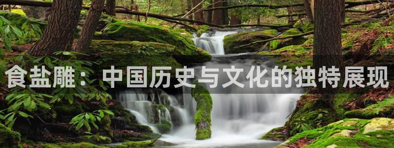 威九国际网站经常打不开