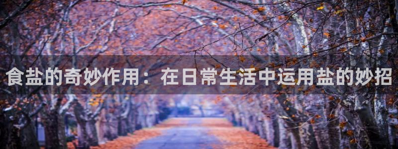 威九国际免费ppt网址