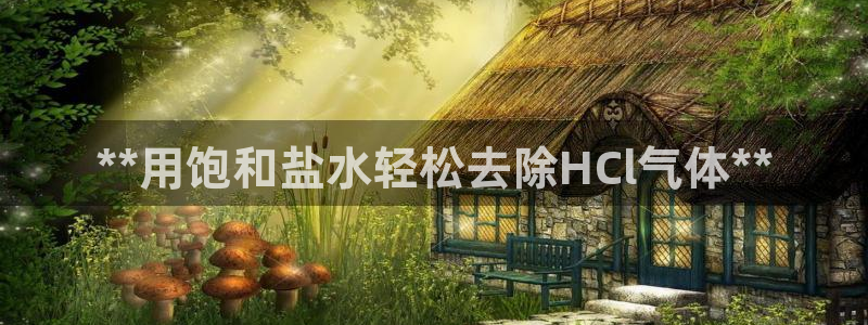 78mapp威九国际人民网