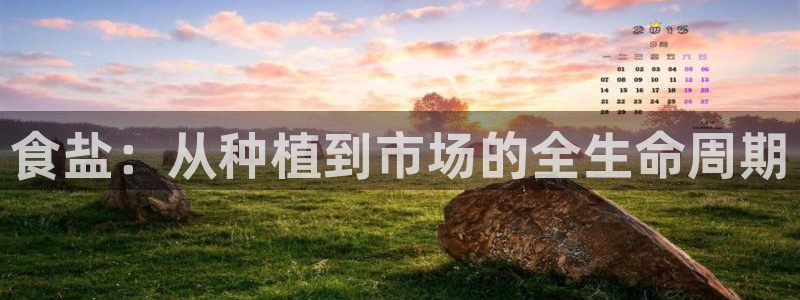 威九国际官网登录入口网址
