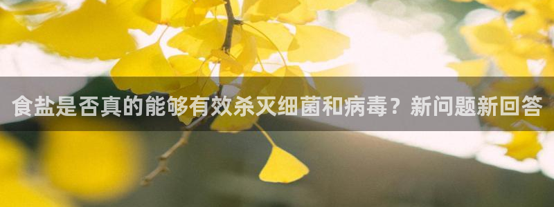 威九国际宣传片