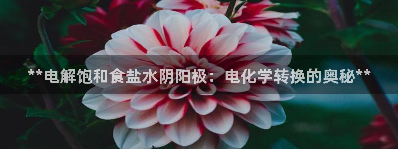 78mapp威九国际最新版