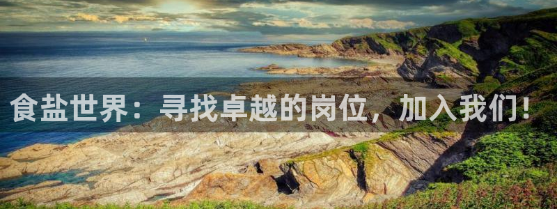 威九国际78m78下载