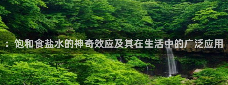 威九国际78免下载