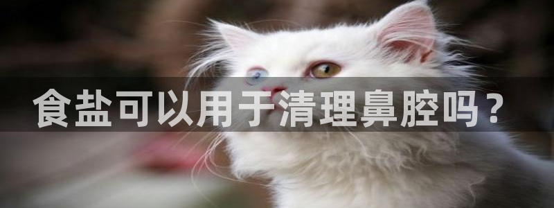 威九国际客服电话