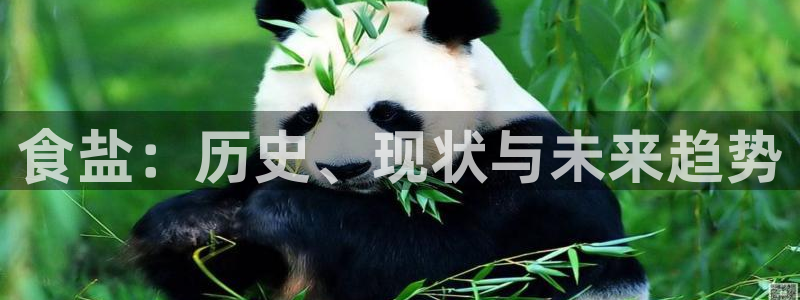 威九国际78mb42- MBA中文：食盐：历史、现状与未来趋