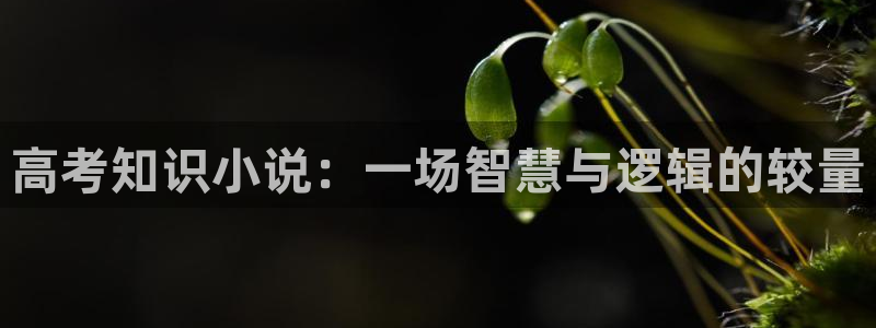 辣文小说网在线阅读：高考知识小说：一场智慧与逻辑的较量