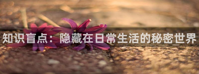 笔趣阁辣文小说网：知识盲点：隐藏在日常生活的秘密世界