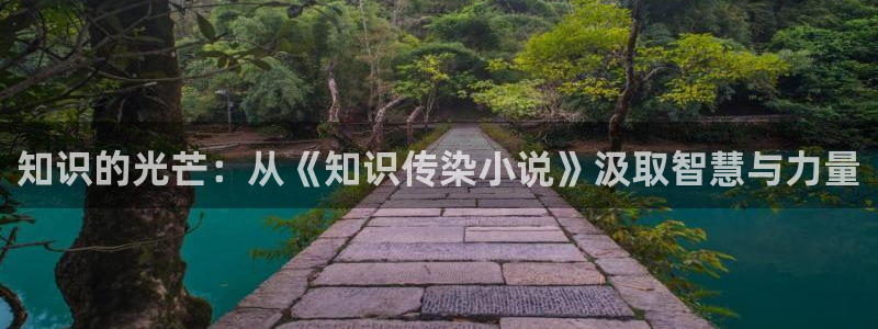 白洁辣文小说：知识的光芒：从《知识传染小说》汲取智慧与力量