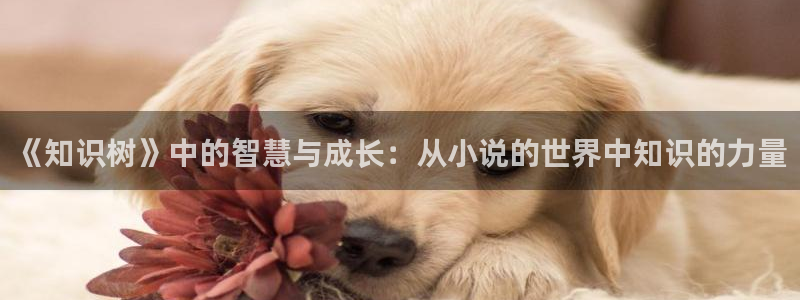辣文小说网第二书包网：《知识树》中的智慧与成长：从小说的世界中知识的力量