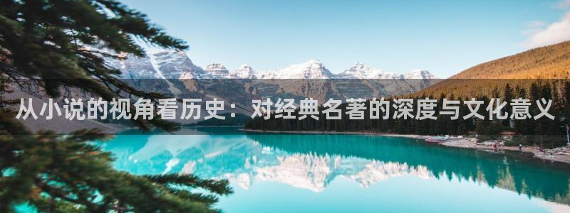 辣文小说网首页：从小说的视角看历史：对经典名著的深度与文化意义