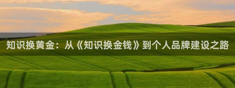 古代辣文小说推荐：知识换黄金：从《知识换金钱》到个人品牌建设之路